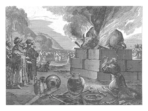 Илия Пророки Ваала Питер Нолпе После Варфоломея Бринберга 1623 1653 — стоковое фото