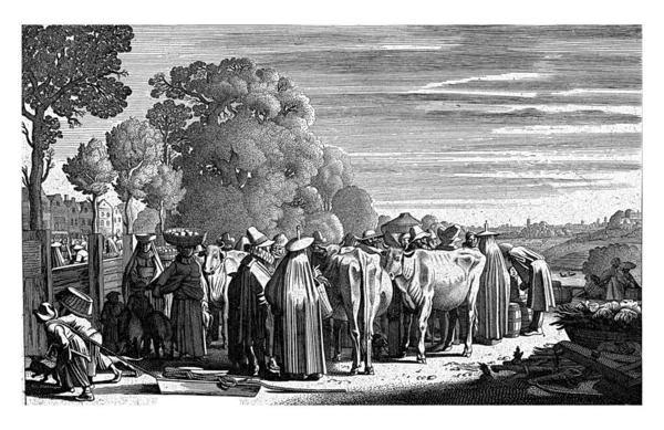 टरझन 1603 घटक 1641 — स्टॉक फोटो, इमेज