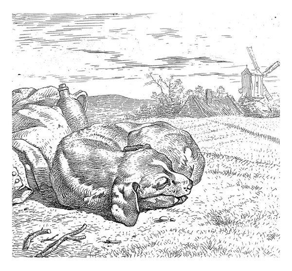 Śpiący Pies Wiatrakiem Tle Wouter Johannes Van Troostwijk 1792 1810 — Zdjęcie stockowe