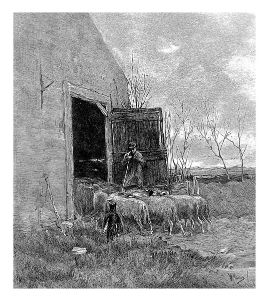 羊飼いの群れが納屋にいる羊の群れ ウィレム スチールインク アントン モーヴ 1896年の後羊飼いが納屋のオープンドアの前に立って 羊の群れが歩いている間 — ストック写真