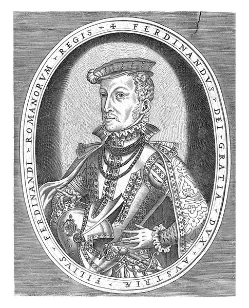 ラテン語で彼の名前とタイトルと楕円形のチロルのフェルディナンド2世の右半分の長さの肖像画 — ストック写真