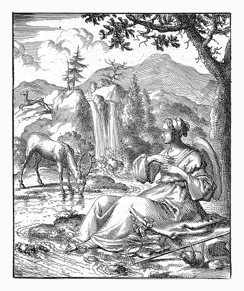 Μια Γυναίκα Βλέπει Ένα Ελάφι Στην Όχθη Ενός Ποταμού Jan — Φωτογραφία Αρχείου