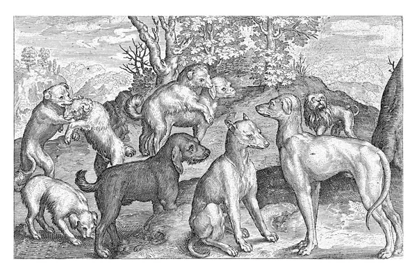 9匹の犬 Nicolaes Bruyn 1594年 ヴィンテージ彫刻 — ストック写真