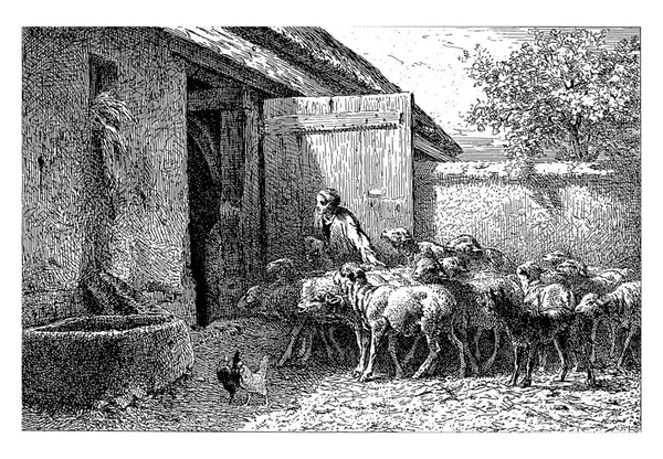 Frau Führt Schafe Den Stall Charles Emile Jacque 1865 — Stockfoto