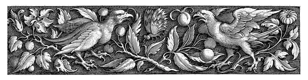 Nedre Halvan Trycket Med Två Frites Med Rovfåglar 1893 17854 — Stockfoto