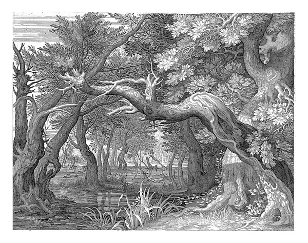 森林湖里悬着茂密的树木 在后面是猎鹿 六部份系列中的第三部份 有风景 — 图库照片