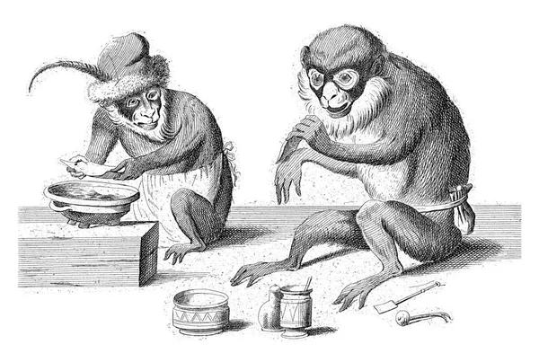 Dwie Małpy Siedzą Ziemi Jeden Podgrzewa Bandaże Kozieradce Drugi Zakłada — Zdjęcie stockowe