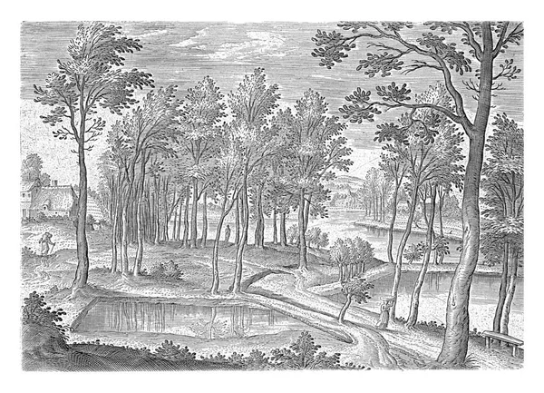 カンブル修道院の池の眺め 印刷は ブリュッセルエリアから顔を持つシリーズの一部です — ストック写真