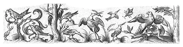 在汉斯 科莱特 之后的1530 1580年 有十只鸟和一只昆虫在冷风的右边是一棵树 左边是一棵树和灌木 — 图库照片