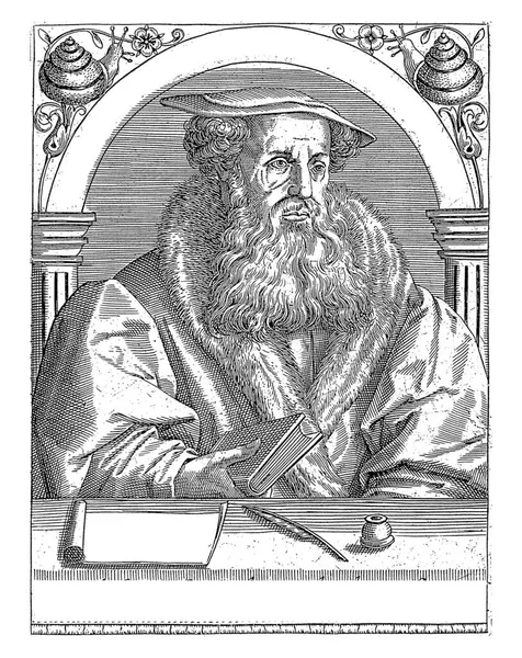 Portret Van Heinrich Bullinger Robert Boissard Johann Theodor Bry Afgewezen — Stockfoto