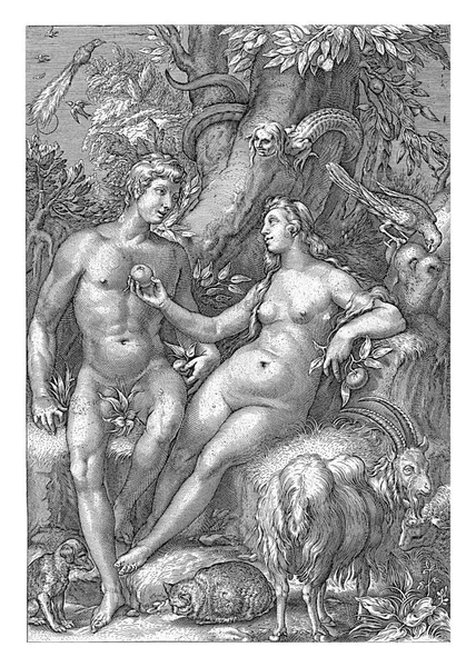 하와는 아담에게 과악에 의나무에서 사과를 줍니다 여자의 얼굴을 이나무 주위에 — 스톡 사진
