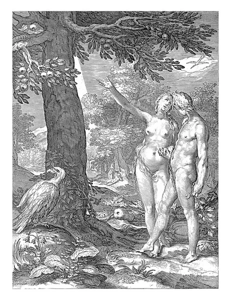 亚当和夏娃在天堂夏娃向亚当展示了善与恶的知识之树 在树旁边有一只猛禽 — 图库照片