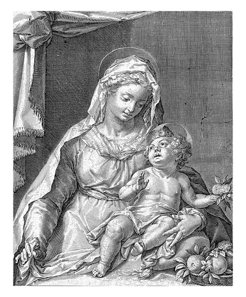 Panna Maria Kristovým Dítětem Náručí Rukou Kristova Dítěte Růže Jablko — Stock fotografie