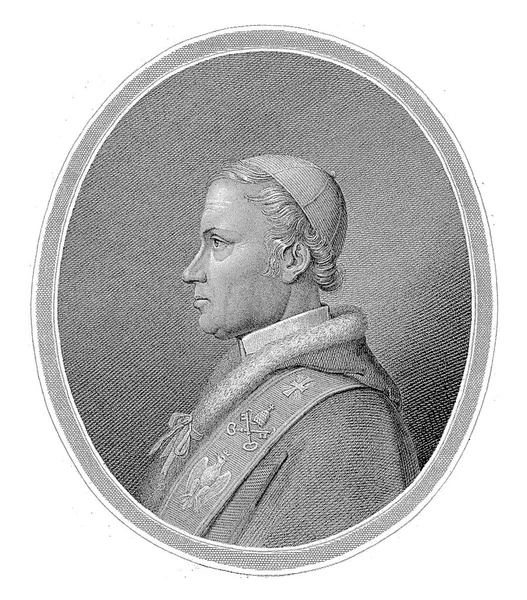 教皇レオ12世 レオポルド ビーバー 1823年 1877年の肖像 — ストック写真