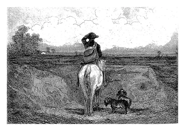 骑马的猎人凝视着贫瘠的平原 他的两只狗都站在他旁边 — 图库照片