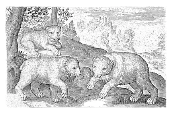 Três Ursos Nicolaes Bruyn 1621 Vintage Gravado — Fotografia de Stock