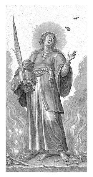 Sint Agnes Als Martelaar Met Lam Onder Vlammen Pieter Bailliu — Stockfoto