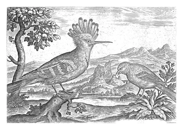 川の風景の中にホップとラインネット プリントは鳥を題材としたプリントシリーズの一部です — ストック写真