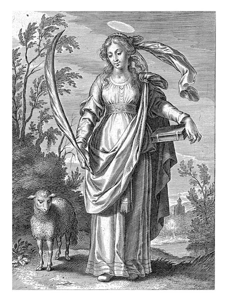 Agnes Cornelis Galle Após Sebastiaan Vrancx 1596 1633 Santa Inês — Fotografia de Stock