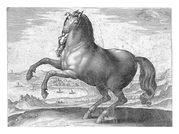 南イタリアの馬 Appulus プロフィール それは聞こえる 印刷はラテン語のキャプションを持っており オーストリアのドン フアンの王室の厩舎からの馬の品種に関する39部のシリーズの最初の部分の一部です — ストック写真