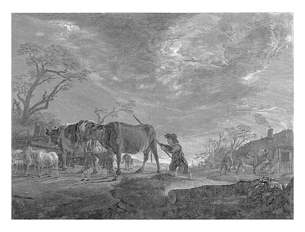带着一群奶牛和山羊 带着毛绒绒的风景 在农场前面的右边 一头公牛骑着一头奶牛 — 图库照片