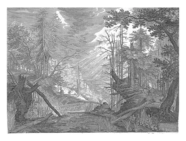 Paisaje Forestal Con Árboles Caídos Junto Río Derecha Orilla Tres — Foto de Stock