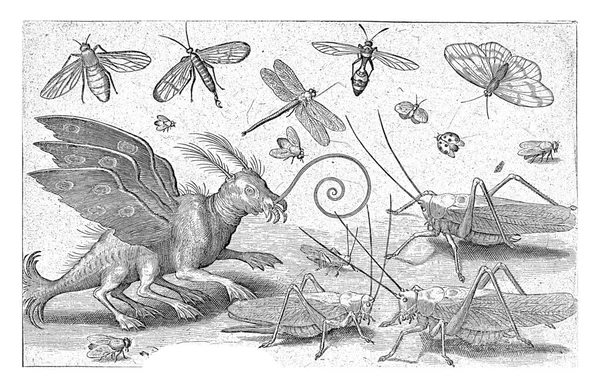 Grasshoppers Fantasiewezen Met Vleugels Webbedpoten Nicolaes Bruyn 1594 — Stockfoto