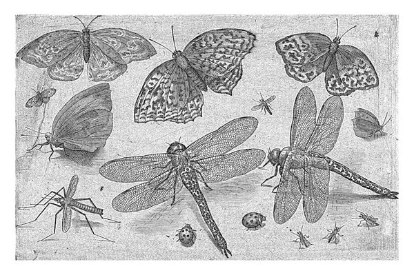Pillangók Szitakötők Nicolaes Bruyn 1594 Szüret Bevésett — Stock Fotó