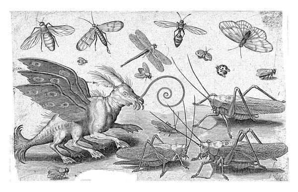 Cavallette Creature Fantastiche Con Ali Piedi Palmati Nicolaes Bruyn 1594 — Foto Stock