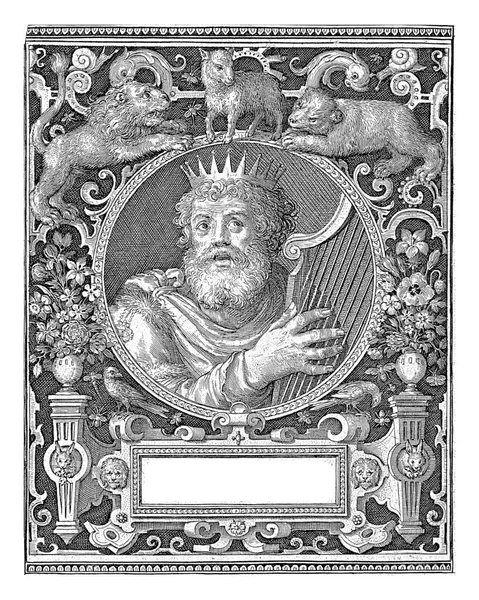 Portrait Bust King David Harp Medallion Rectangular Frame Ornaments Shape — Stock Photo, Image