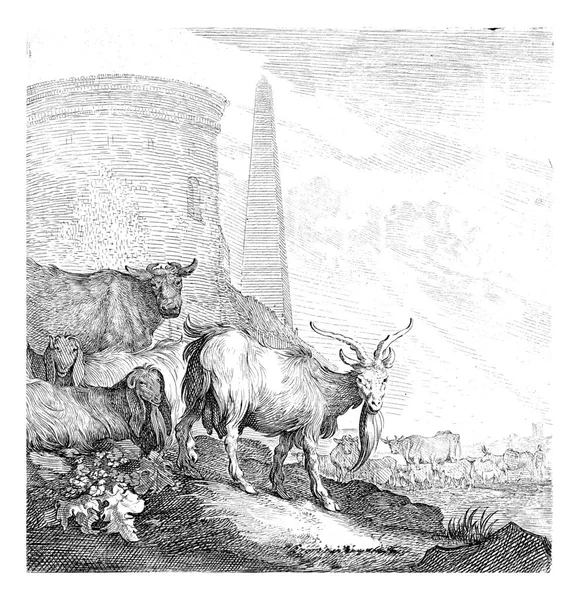 stock image Goats and Cows by a Round Tower with an Obelisk