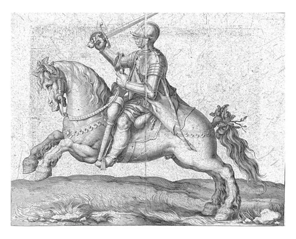 馬に乗った鎧を着た男が左手に乗っていた — ストック写真