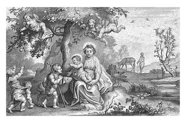 Mary Child John Baptist Cornelis Galle 1638 1678 Mary Sits — Stock Photo, Image