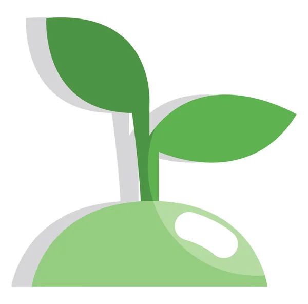 Ecologische Zaden Illustratie Icoon Vector Witte Achtergrond — Stockvector