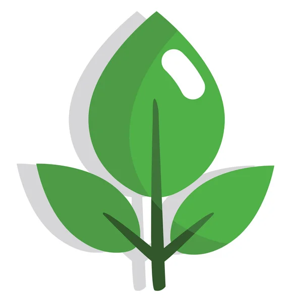 緑茶の葉 イラストやアイコン 白い背景のベクトル — ストックベクタ