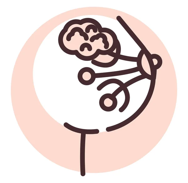医学乳房 插图或图标 白色背景的载体 — 图库矢量图片