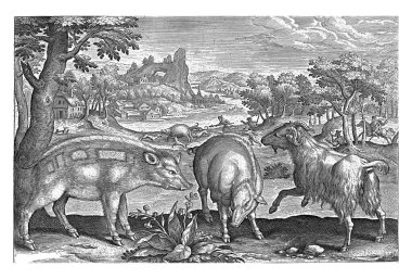 Keçi ve domuz, Adriaen Collaert, 1595 - 1599 İki domuz ve bir keçi. Arka planda bir nehir ve yaban domuzu avlayan bir manzara..