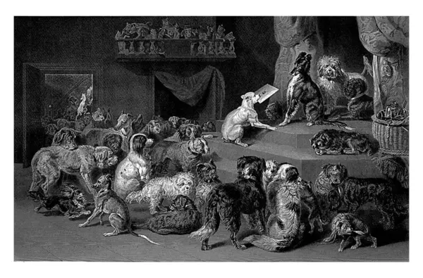 Dogs offer a letter, Johannes de Mare, after Bernard te Gempt, 1860 - 1879 Many dogs at an elevation, whereupon one of them offers a letter to another dog. In the background a balcony with dogs.