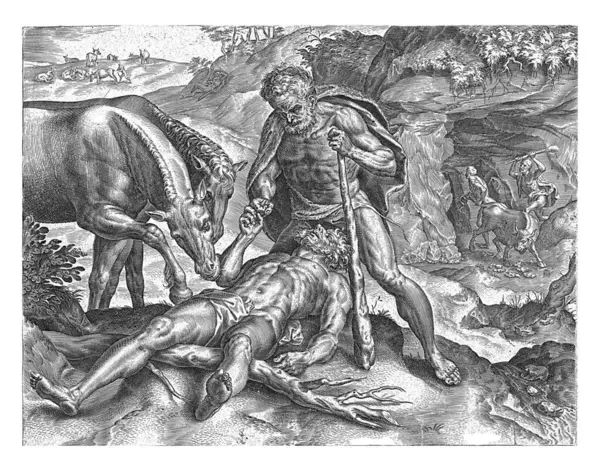 Herkules Matar Sina Hästar Cornelis Cort Med Diomedes Hästar Efter — Stockfoto
