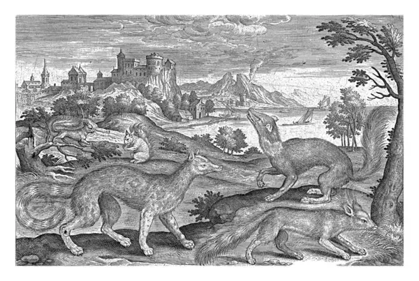 Martens Squirrels Fox Adriaen Collaert 1595 1599 Foreground Fox Marten — Stock Photo, Image
