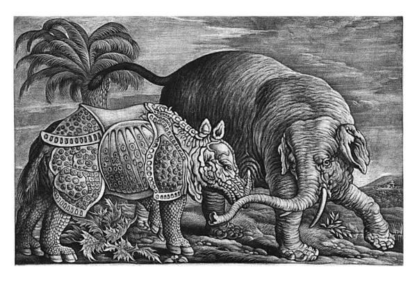 大象和犀牛 格里菲斯 弗朗西斯 巴洛之后 1667 1717年一只大象和一只犀牛被描绘在一个有着棕榈和蓟的景观中 图库照片