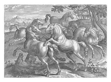 Altı Fighting Horses, Adriaen Collaert (atfedilen), Jan van der Straet 'ten sonra, c. 1578 - c. 1582 Six Horses. Atlardan biri yerde yatıyor..