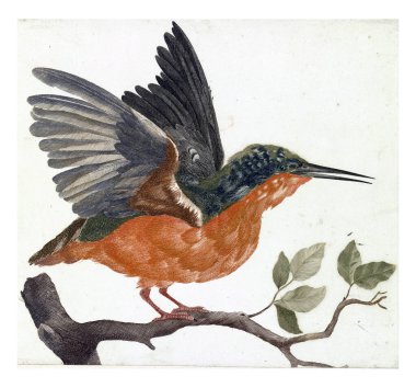 Kingfisher ağaç dalında, anonim, 1688 - 1698, eski oyma..