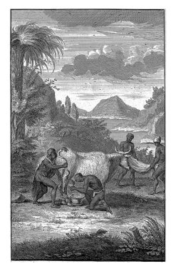 Khoi milking a cow, Jan Caspar Philips, after Michiel Elgersma, 1727 Exotic landscape with a man milking a cow while another man blows into the cow's vagina.