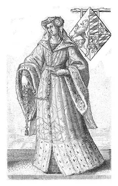 オランダ ゼーランド ハイナウト伯爵ジャコバ ヴァン ベイナウの肖像画 アデリアン マッサム 1620年のジャコバ ヴァン ベイランの肖像画 — ストック写真