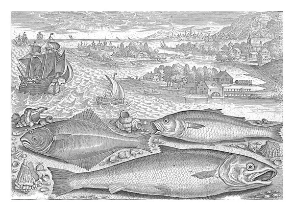 Três Peixes Praia Adriaen Collaert 1627 1636 Linguado Salmão Robalo — Fotografia de Stock