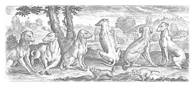 Köpekler, Abraham de Bruyn, 1583 'ten sonra her çeşit köpeğin bir koleksiyonu. Ayakta duran ya da oturan altı köpek. Küçük bir süs köpeği havlarken diğeri kendini rahatlatıyor..