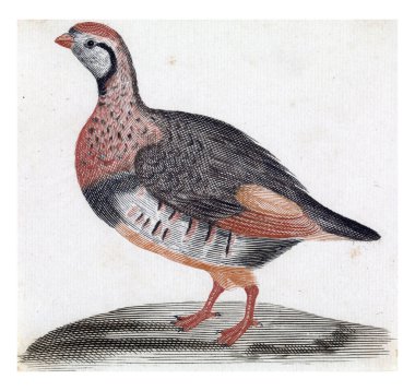 Veldhoen, anonim, 1688 - 1698, eski oyma..