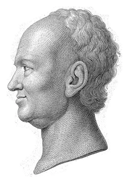 Head Balding Man Profile Possibly Portrait Spalding — Stock Photo, Image