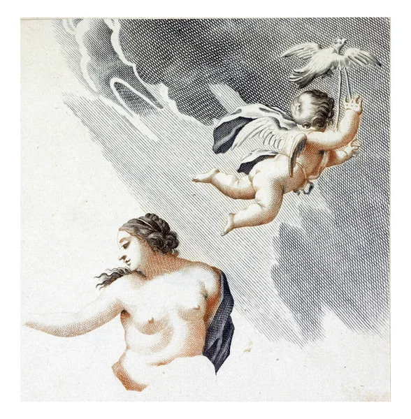 Venus Amor Anonymous 1688 1698 Venus Flying Amor Keeps Pigeon — Stock Photo, Image